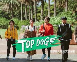 91导航《TOP DOG》免费在线观看