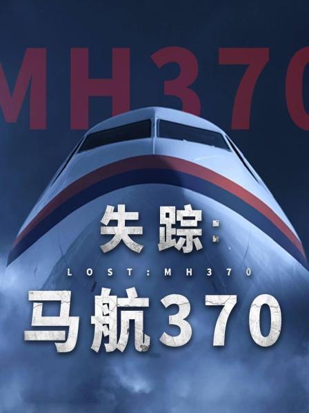 91妻友《失踪：马航370》免费在线观看