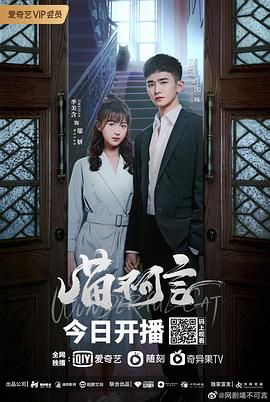 91射区《喵不可言》免费在线观看