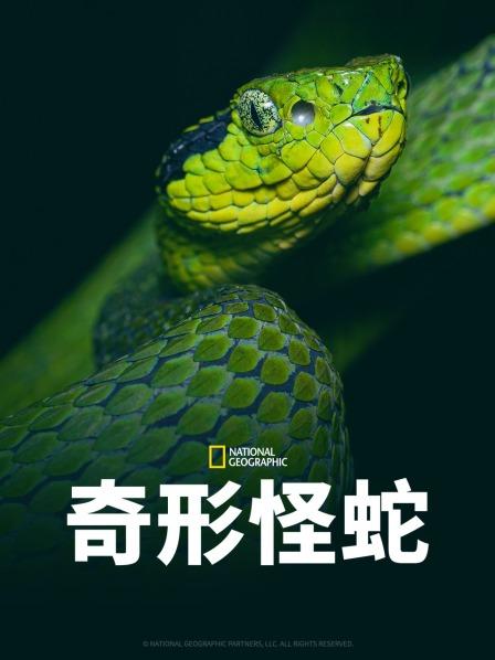 91射区《奇形怪蛇》免费在线观看